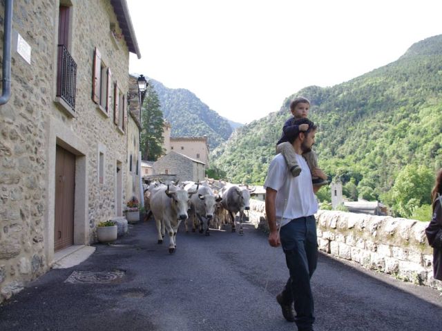 Faites gaffe, si vous ne souscrivez pas assez vite pour devenir coopérateur, vous risquez de ne plus la voir, cette carte postale ! En attendant, le chef, il a toujours l'oeil.