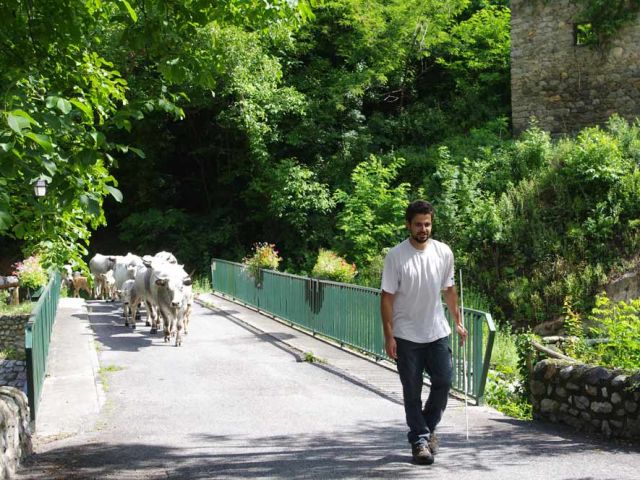 Le pont sur la Mantet, le chef toujours devant.