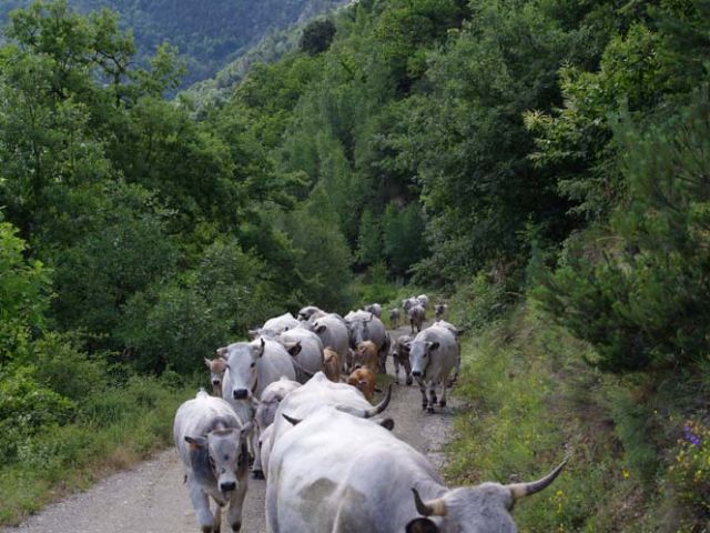 On va ralentir, ça monte.