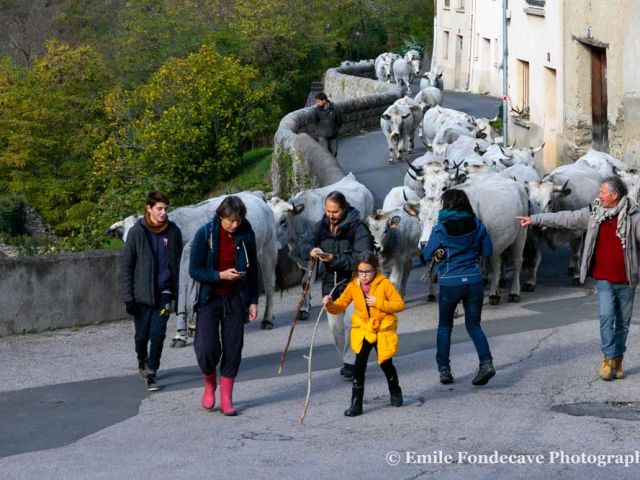 La traversée du village de Nyer, sous l'oeil intéressé des habitants. Tu as raison, Dominique, il y a une de ces dames qui envisage de faire une escapade par la rue de la mairie.