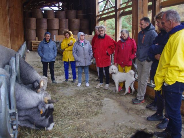 Aujourd'hui, journée Portes Ouvertes comme cela est maintenant notre habitude depuis la création de nos coopératives. Durant la journée, des groupes de visiteurs et coopérateurs échangent avec l'éleveur sur les enjeux de l'élevage bio extensif de montagne.